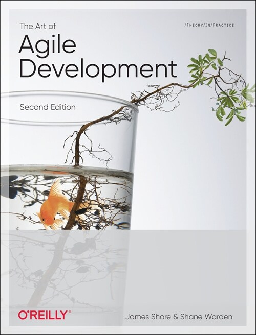 The Art of Agile Development (Paperback, 2)
