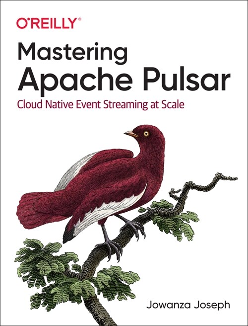 Mastering Apache Pulsar: Cloud Native Event Streaming at Scale (Paperback)