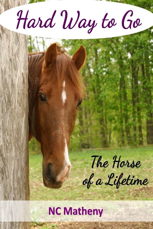 Hard Way to Go: The Horse of a Lifetime (Paperback)