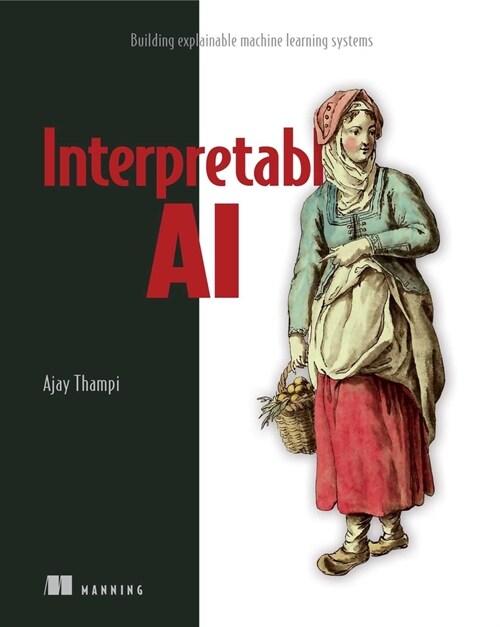 Interperetable AI (Paperback)