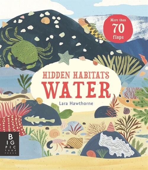 Hidden Habitats: Water (Hardcover)