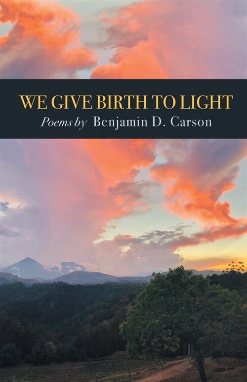 We Give Birth to Light: Poems (Paperback)