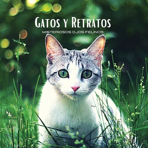 GATOS Y RETRATOS - Misteriosos Ojos Felinos: 햘bum de fotos en color con tem?ica de gatos. Idea de regalo para los amantes de los animales y la natur (Paperback)