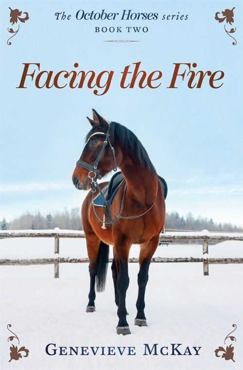 Facing The Fire (Paperback)