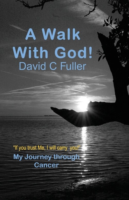 A Walk with God: My Journey Through Cancer (Paperback)