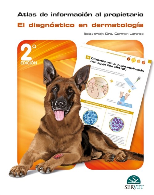 ATLAS DE INFORMACION AL PROPIETARIO DIAGNOSTICO DERMATOLOGI (Paperback)