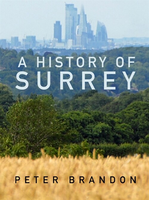 A History of Surrey (Paperback, 2 ed)