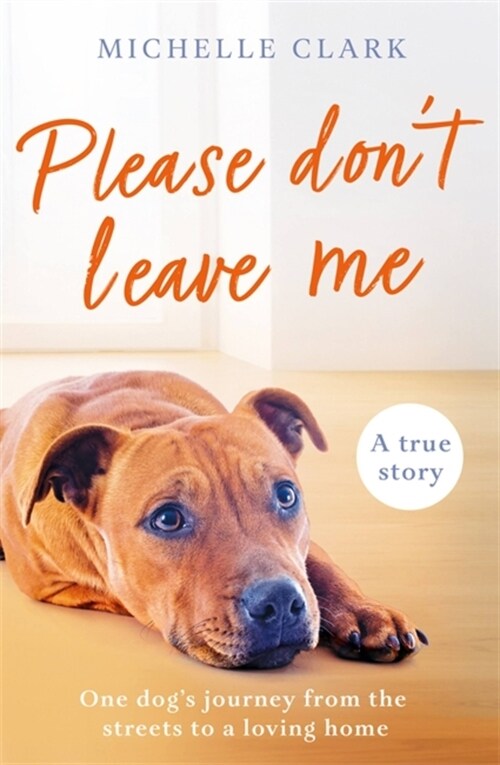 Please Dont Leave Me : The heartbreaking journey of one man and his dog (Paperback)