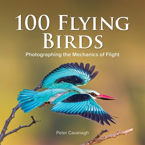 100 Flying Birds: Photographing the Mechanics of Flight (Hardcover)