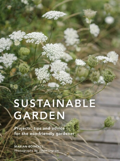 Sustainable Garden : Projects, insights and advice for the eco-conscious gardener (Hardcover)
