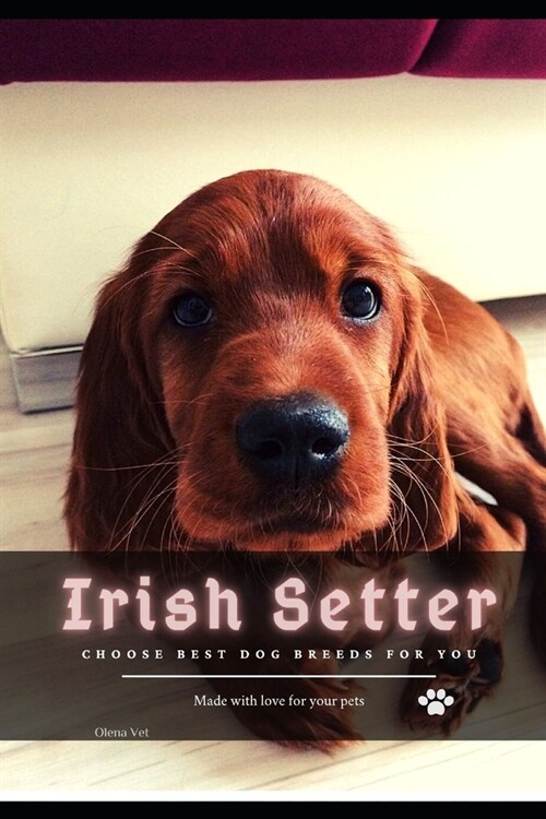 Irish Setter: Choose best dog breeds for you (Paperback)