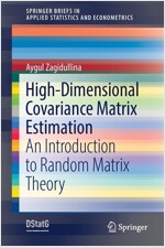High-Dimensional Covariance Matrix Estimation: An Introduction to Random Matrix Theory (Paperback, 2021)