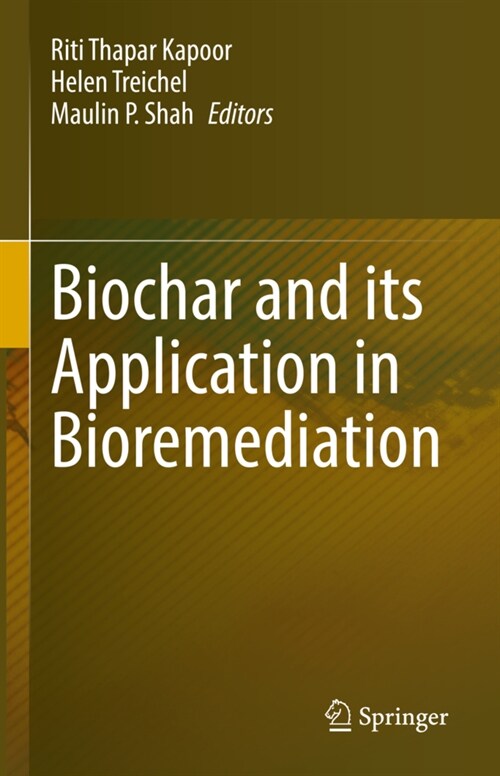 Biochar and its application in Bioremediation (Hardcover)