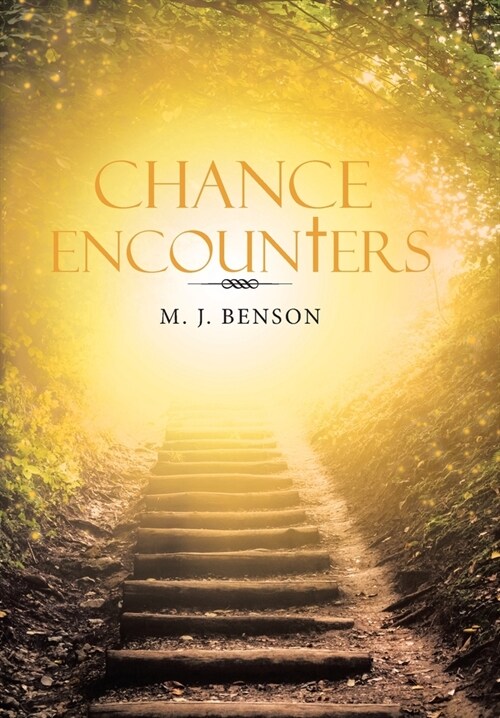 Chance Encounters (Hardcover)