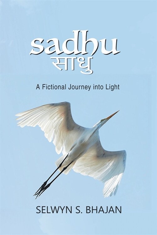 Sadhu: A Fictional Journey into Light (Paperback)