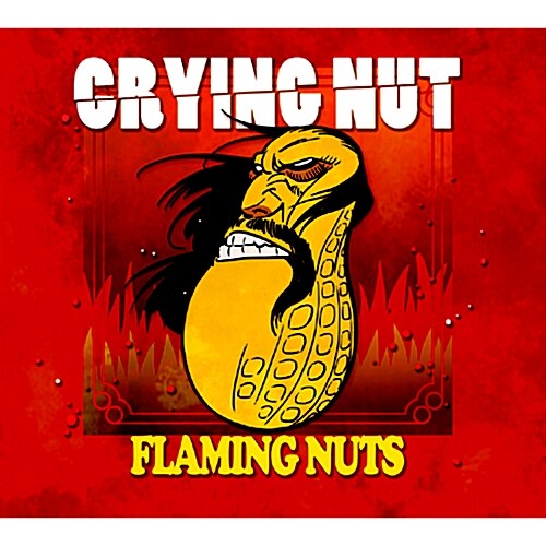 [중고] 크라잉 넛 - 정규 7집 Flaming Nuts