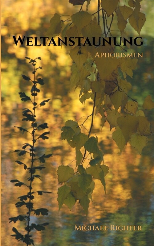 Weltanstaunung: Aphorismen (Paperback)