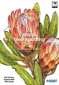 Sappi Tree Spotting Cape: From Coast to Kalahari (Paperback)