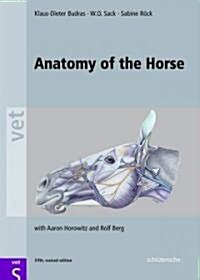 Anatomy of the Horse (Hardcover, 5, Revised)