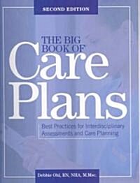 The Big Book of Care Plans (Paperback, 2nd, Spiral)