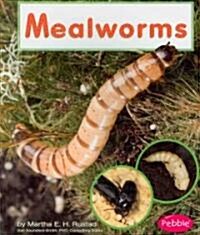 Mealworms (Paperback)