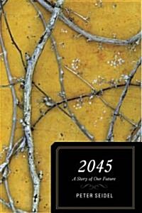 2045: A Story of Our Future (Paperback)