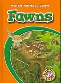 Fawns (Library Binding)