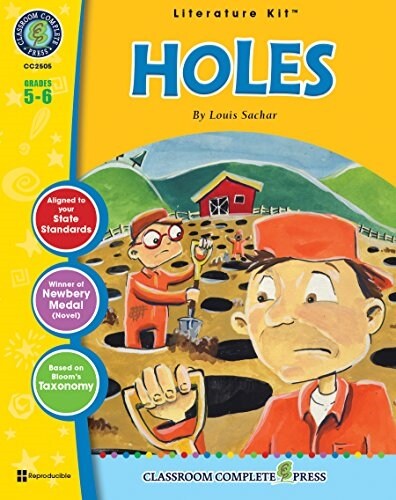 Holes (Paperback)