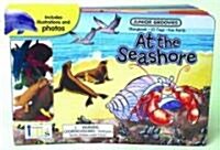 At the Seashore Board Book [With 10 Animal] (Board Books)