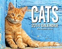 Cats 2014 Mini Box Calendar (Paperback)