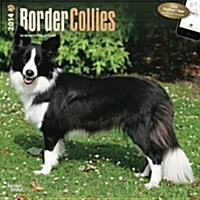 Border Collies 2014 Wall Calendar (Paperback)