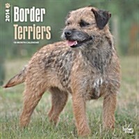 Border Terriers 2014 Wall Calendar (Paperback)