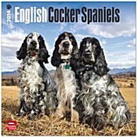 English Cocker Spaniels (International) 2014 Wall Calendar (Paperback)