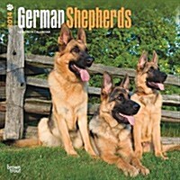 German Shepherds 2014 Wall Calendar (Paperback)
