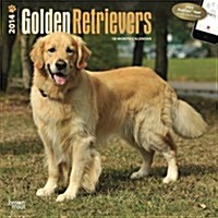 Golden Retrievers 2014 Wall Calendar (Paperback)