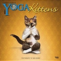 Yoga Kittens 2014 Mini Calendar (Paperback)