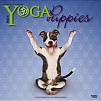 Yoga Puppies 2014 Mini Calendar (Paperback)