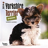Yorkshire Terrier Puppies 2014 Mini Calendar (Paperback)