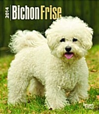 Bichon Frise 2014 Desk Diary (Hardcover)