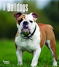 Bulldogs 2014 Desk Diary (Hardcover)