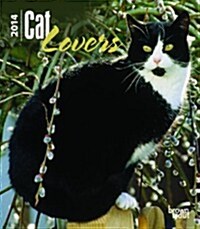 Cat Lovers 2014 Desk Diary (Hardcover)