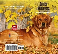 Golden Retrievers 2014 Pocket Planner (Hardcover)