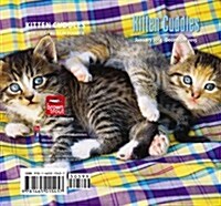Kitten Cuddles 2014 Pocket Planner (Hardcover)