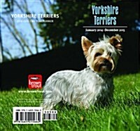 Yorkshire Terriers 2014 Pocket Planner (Hardcover)
