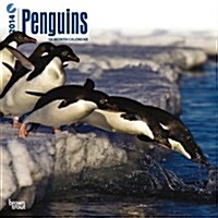 Penguins 2014 Wall Calendar (Paperback)