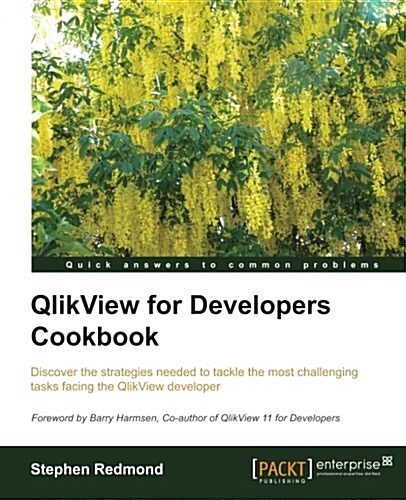 QlikView for Developers Cookbook (Paperback)