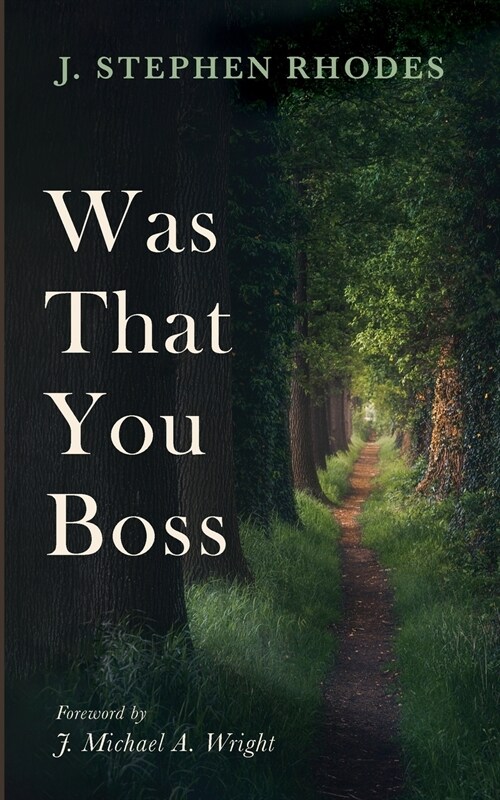 Was That You Boss (Paperback)