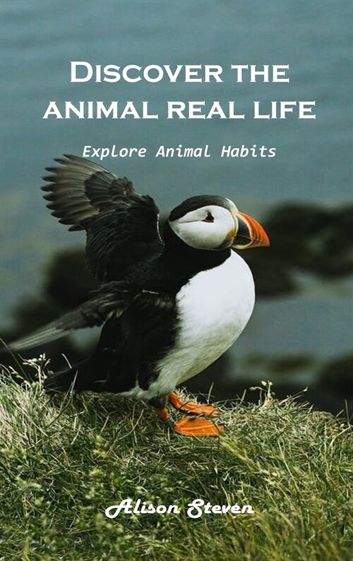 Discover the animals real life Explore: Explore animal habitats (Hardcover)