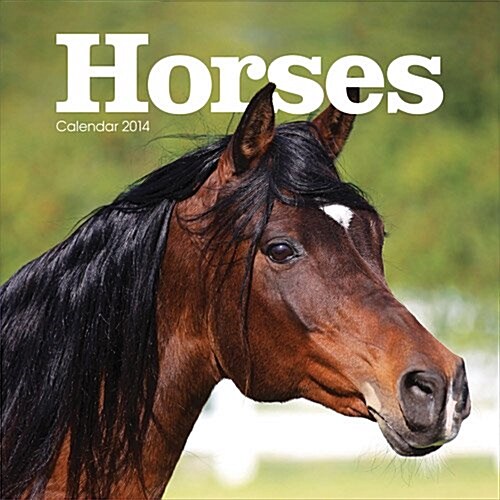 Horses Wiro W (Paperback)