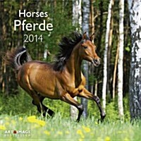 2014 A&I Horses (Paperback)